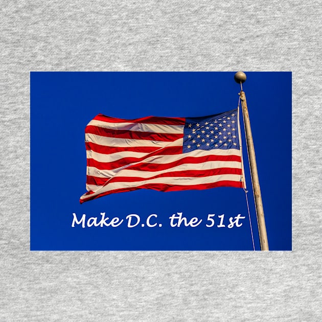 Make D.C. the 51st by thadz